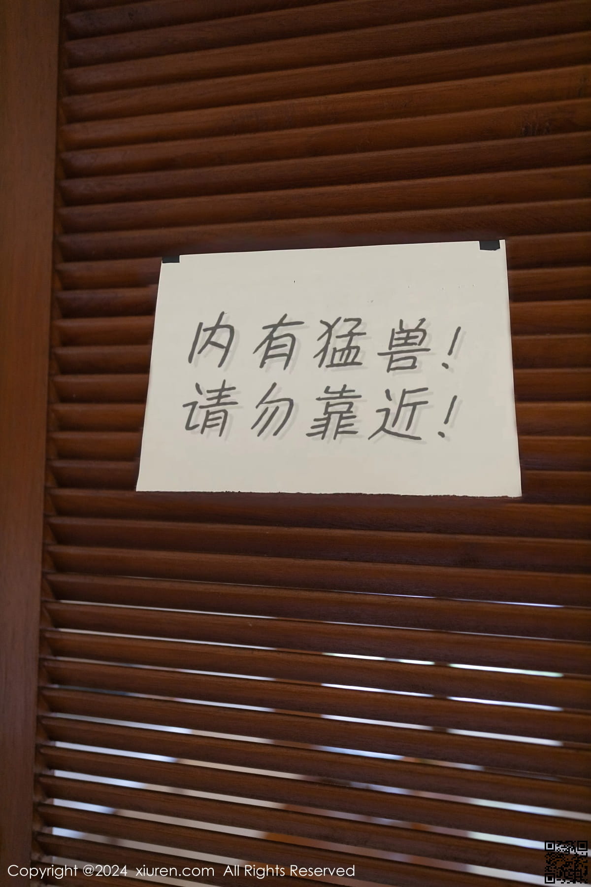 XIUREN秀人网 2024.01.26 No.8029 幼幼-2